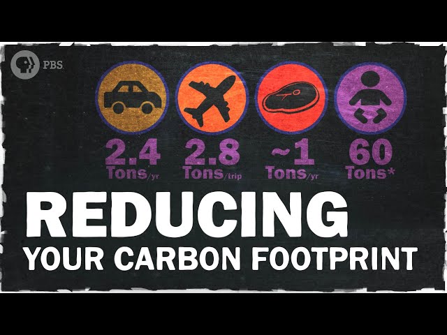 The Best Ways to Reduce Your Carbon Footprint | Hot Mess 🌎