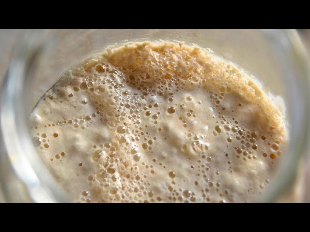 Sourdough Starter in 7 DAYS? Forget about your chemistry Levain Book ...