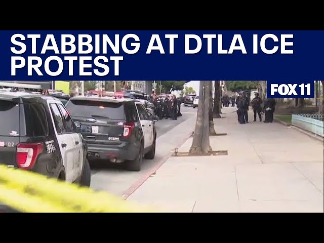 LA protest stabbing: Immigration demonstration ends with violence