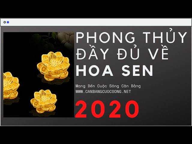 HOA SEN Ý NGHĨA TRONG PHONG THỦY