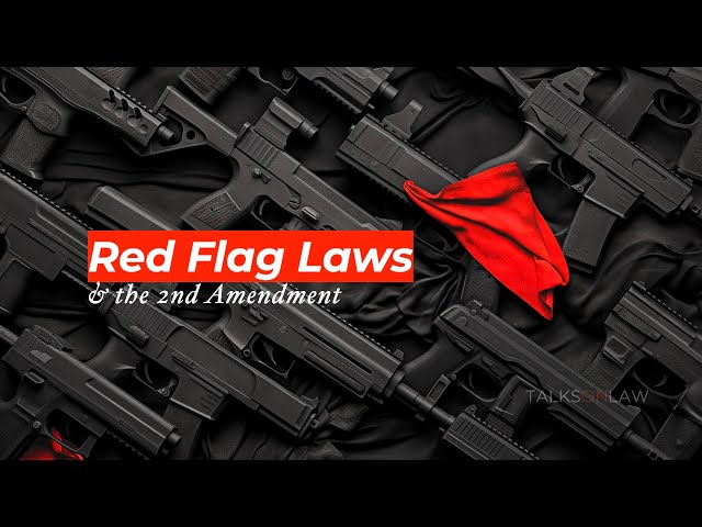 The Constitutionality of Red Flag Laws