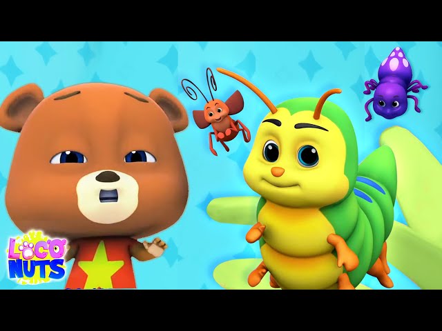 Bug Bug Bug Song - Sing Along | Creepy Crawly Bugs | Nursery Rhymes and Kids Songs with Loco Nuts