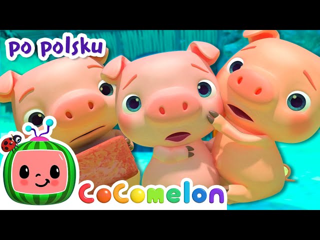 Trzy małe świnki | CoComelon po polsku 🍉🎶 Piosenki dla dzieci