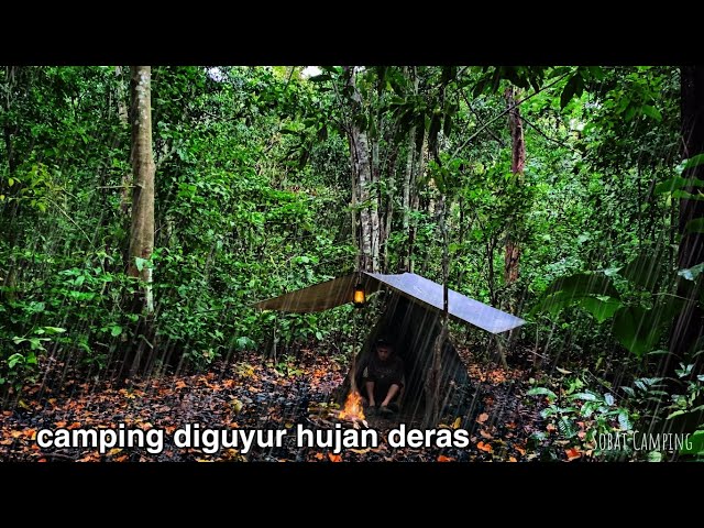 Camping Diguyur Hujan Deras, Bakar Udang Saat berkemah di Hutan Sampai Pagi