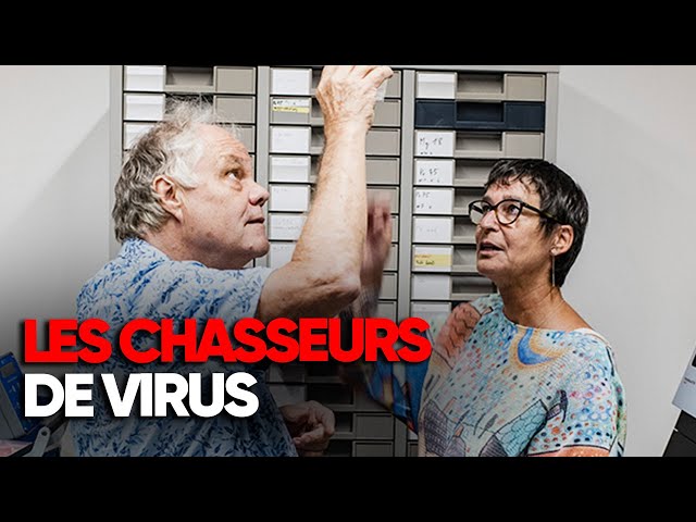 Virus Hunters - The origin of pandemics - Documentary - AMP