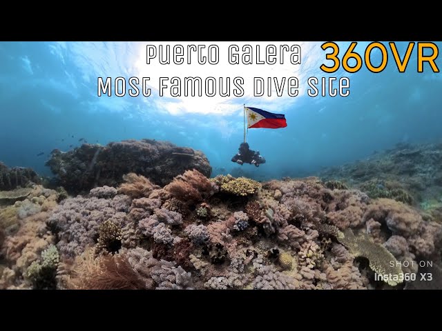 Puerto Galera dive site AlmaJane wreck Hole in the wall 360vr 사방비치 scubadiving insta360x4 vs x3