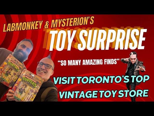 Toy Surprise Episode 9, what did we find at Toronto’s top vintage toy shop?