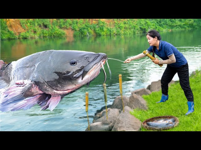 100kg Monster Catch - Giant Silver Carp & Catfish Haul - Goes to Market Frenzy | Jolie Life