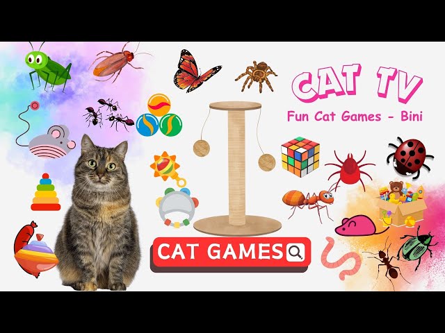 CAT GAMES🎮A Collection Of The Best Games To Entertain Your Cat😻 | 11HOURS  CAT TV