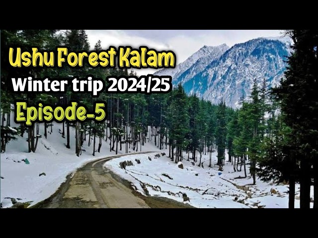 Kalam Ushu Forest || Paloga Valley Kalam Swat || Ushu village || Ep-5 || Winter Trip 2025