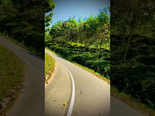 Biking Through a Dreamy Green Road #nature #rider #bikeride #through #greenery