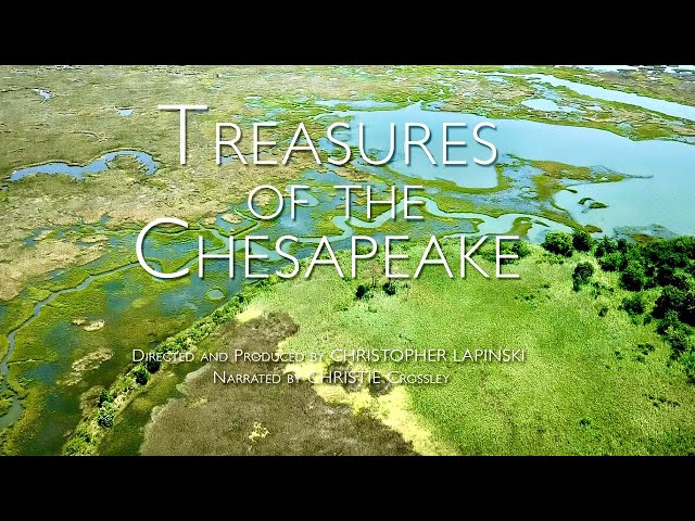 Treasures of the Chesapeake