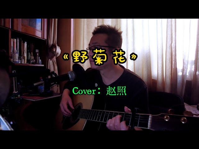 《野菊花》|  Cover：赵照