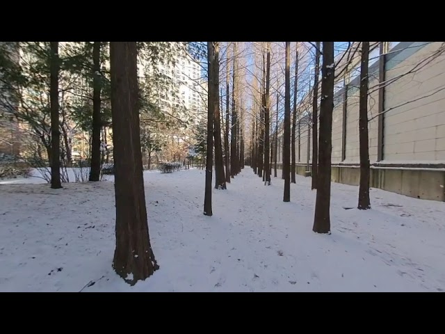 눈 오는 날 반포자이 걷기 Walking in Banpo Xi on a snowy day in Korea 20211219