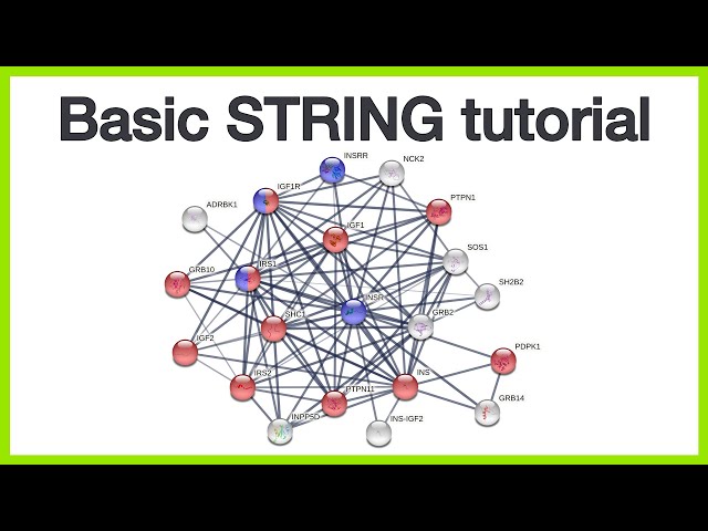 Basic STRING tutorial: Protein query, network views, query parameters, and enrichment visualization