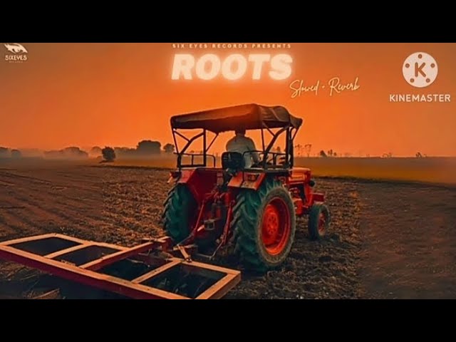 Roots bintu pabra (slowed + reverb)