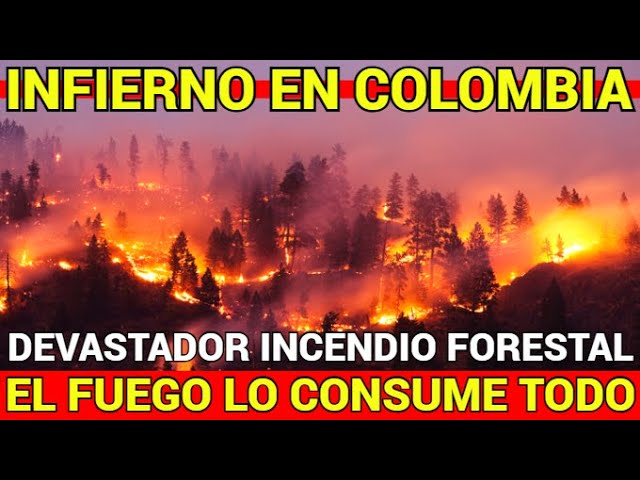 🔴DEVASTADOR INCENDIO FORESTAL🔴SE DESATA EL INFIERNO EN COLOMBIA🔴EL FUEGO CONSUME TODO🔴