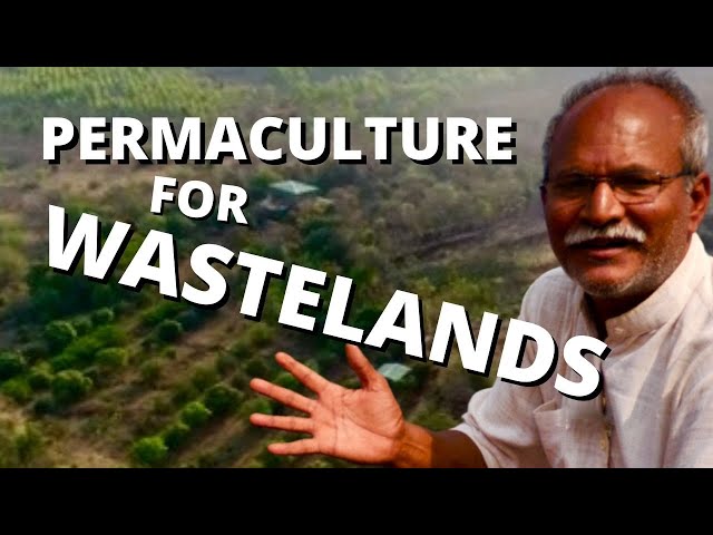 India's Water Revolution #4: Permaculture for Wastelands at Aranya Farm