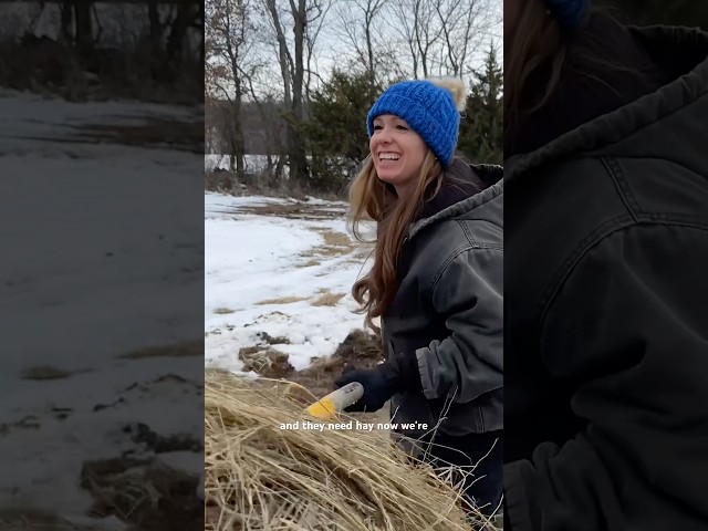 We can’t get hay out to the cows