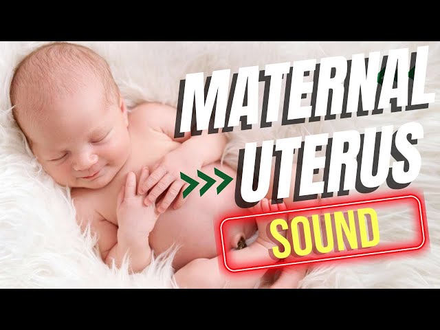 MATERNAL UTERUS SOUND - 10 minutes of ad-free sound - WHITE NOISE - (Calms Crying Babies & Colic)