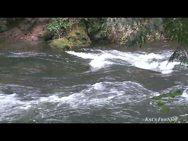 #18 15Min Smoothing Sounds of a Busy Flowing Creek (No Loop/AI) |Relax, Focus, Study, and Sleep