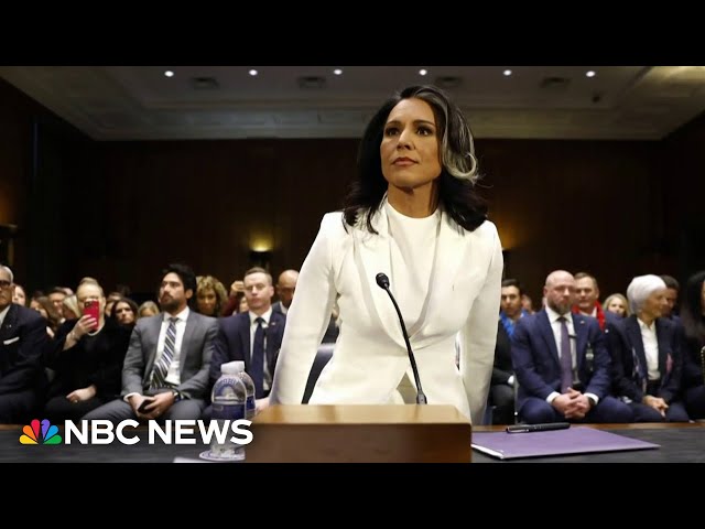 Senate committee advances Tulsi Gabbard's nomination to serve as DNI