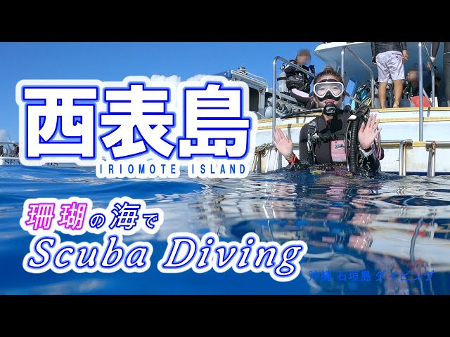 Scuba Diving in Iriomote Island. Okinawa,JAPAN.