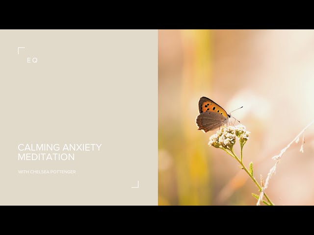 Calming Anxiety Meditation ✨