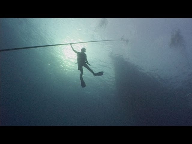 Reef Life of the Andaman - Part 1 - Introduction & Corals