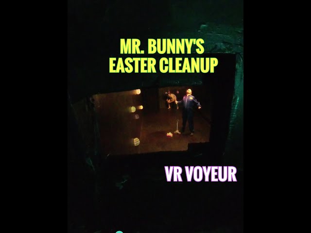 VR Voyeur - Mr. Bunny's Easter Cleanup | VR Comedy