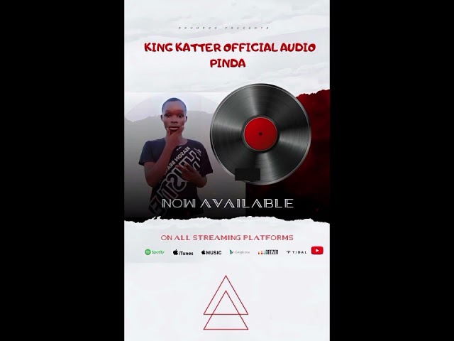 King Katter _Pinda (Official Audio)