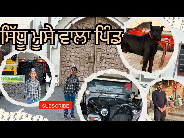 SIDHU MOOSE WALA HAVELI | MANSA ਸਿੱਧੂ ਮੂਸੇ   ਵਾਲੇ ਦੀ ਹਵੇਲੀ ਅਤੇ ਯਾਦਗਾਰ legend NEVER DIE 🫡🫡