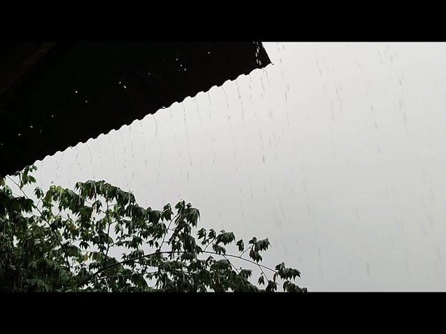 Heavy rain sounds for sleeping, asmr sleep, relaxing asmr