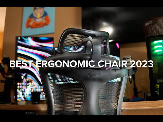 The Best Budget Ergomic Chair in 2023? | Sihoo Doro C300