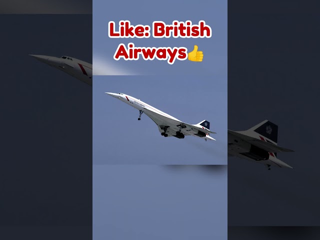 The Best Concorde Livery if You... 🤯 #aviation #planes #avgeeks #airline #flight #concorde