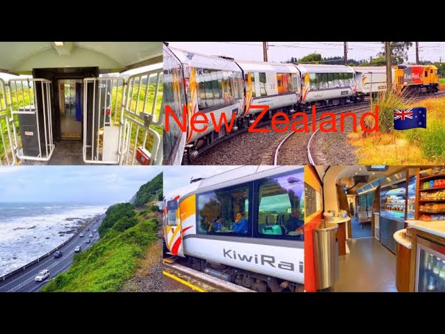 New Zealand 🇳🇿 train da safar @reena95rani hitc sevens