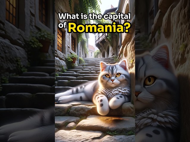 【CAT STORY】 GUESS What is the capital of Romania? #quiz #shorts #subscribe #cat #cute