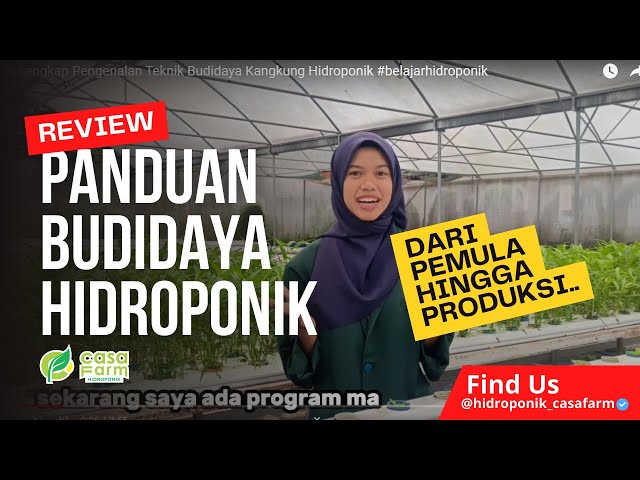 Panduan Lengkap Pengenalan Teknik Budidaya Kangkung Hidroponik #belajarhidroponik