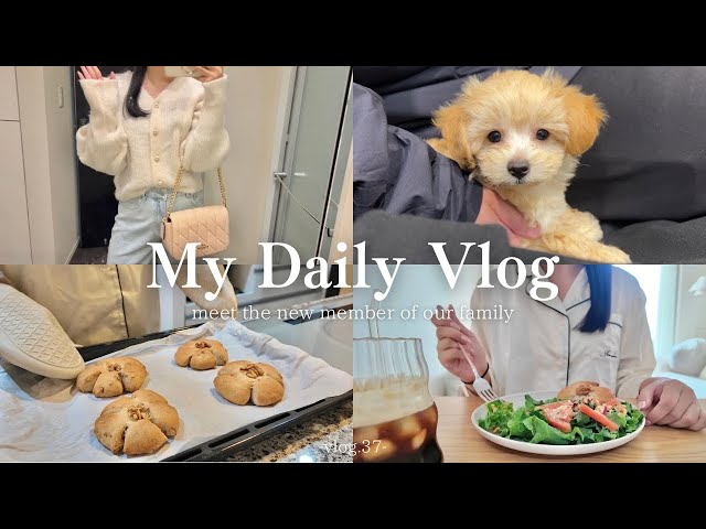 vlog.37 | 美容や好きな事を楽しんでのんびり過ごす社会人の休日🩰 | 家族が増えました🐶♡ |米粉の胡桃パン作り🥯 | ネイル,コスデコ,UNIQLO | 自炊記録✍️