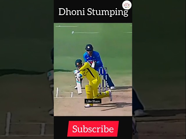 dhoni stumping speed, dhoni stumping video, dhoni stumping gill