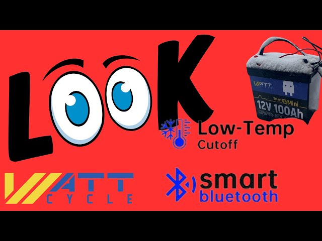 WHAT IS SO GREAT ABOUT SMART BLUETOOTH AND LOW-TEMP CUTOFF?  100Ah Mini LiFePO4 Lithium Battery