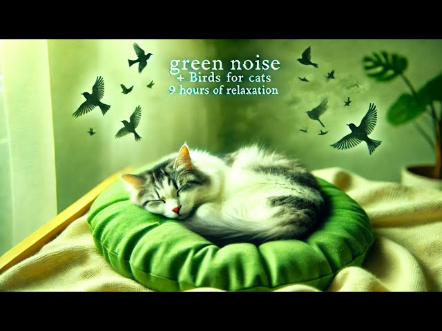 Green Noise + Bird Sounds for Cats | 9 Hours of Relaxation & Stress Relief ( Black Screen, NO Adds)