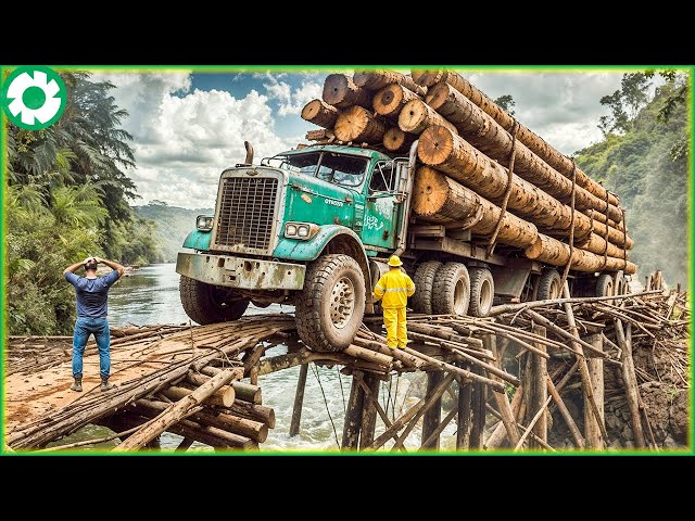 111 Extreme Big Logging Wood Truck Transport Skills | Biggest Heavy Machinery Machines