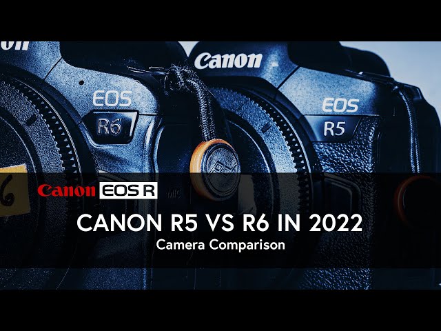 Canon EOS R5 vs R6 in 2022 | EOS R6