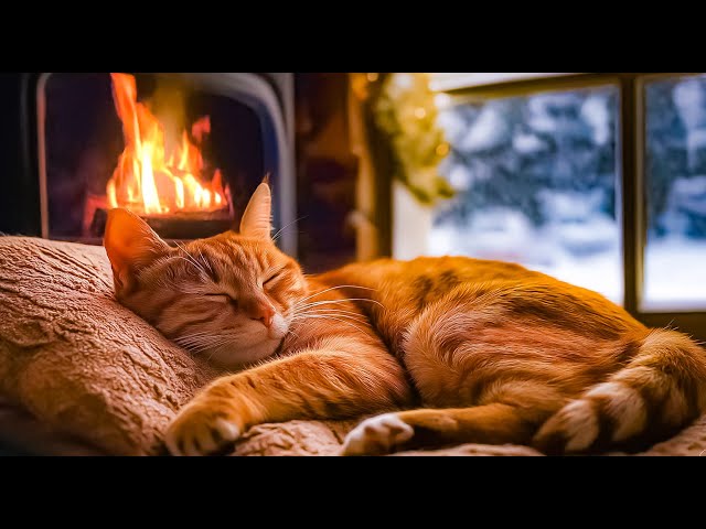 Cozy Fireplace Ambience for Cats | 5 Hours of Crackling Fire & Gentle Purring