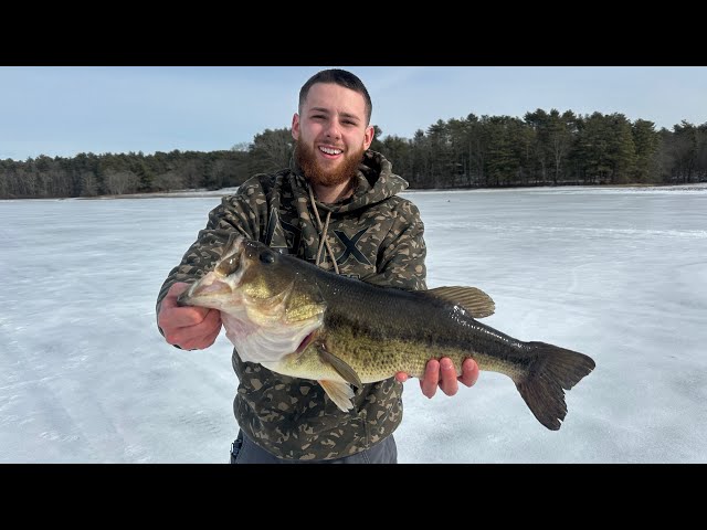 Caught My Personal Best Largemouth Bass Through the Ice!