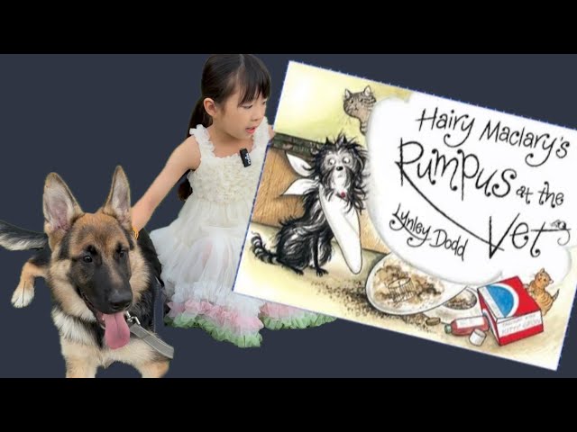 Children Stories | Children's Book Read Aloud | Hairy Maclary's Rumpus At The Vet  | Kids Stories