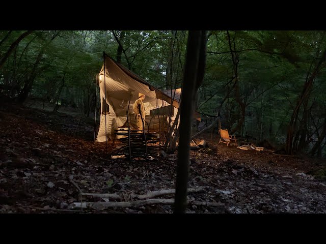 【Solo Camping】 Searing Koala's March in the Night Forest - ambient ASMR | 夜の森でコアラのマーチを炙る