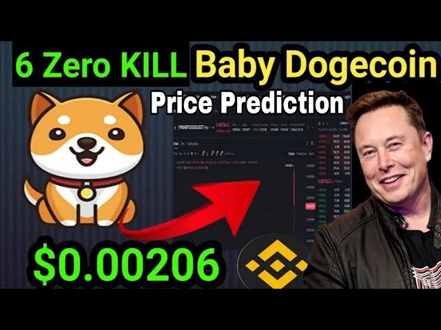 Baby Doge Coin Price Prediction 2025 | Best Meme Coin to buy Now !! | BABY DOGE