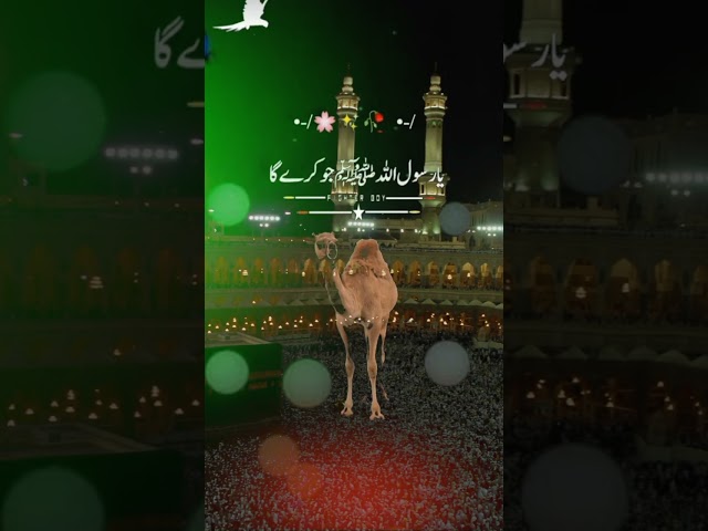 Jo Taqat Kay Bawajood Qurbani Na Kary #youtubeshort #viral #taqreer #hajj 9#hajj2024